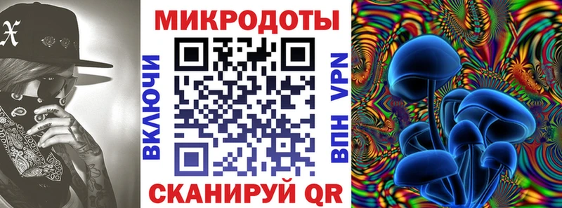 Галлюциногенные грибы Cubensis  Купить  Омск 